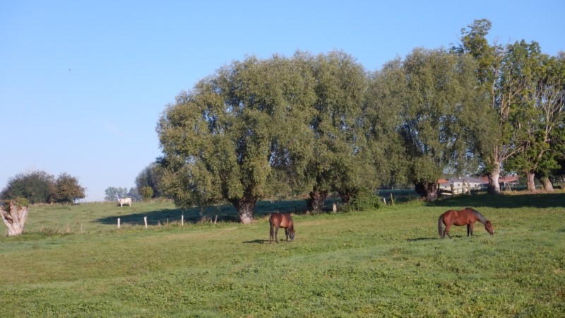 dscn7349 1024x768 