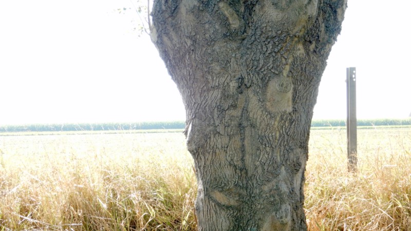 dscn7357 1024x768 